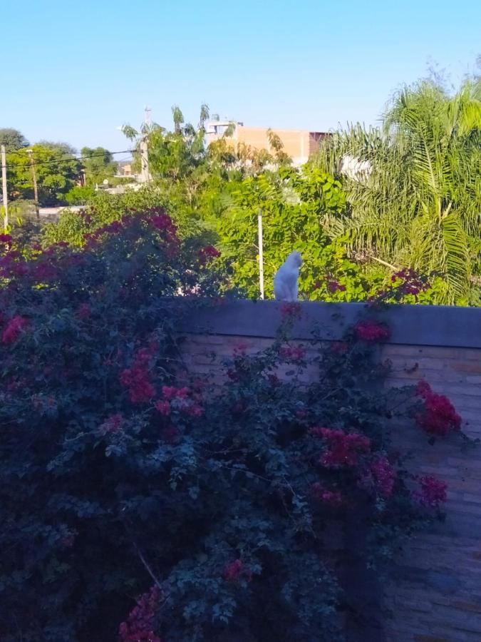 Departamento Aires Del Golf Apartment Termas de Rio Hondo